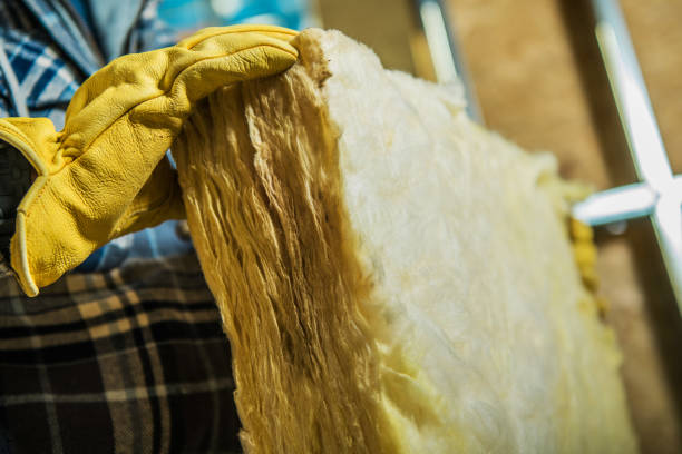 Best Insulation Maintenance and Repair in Mitchell, IL