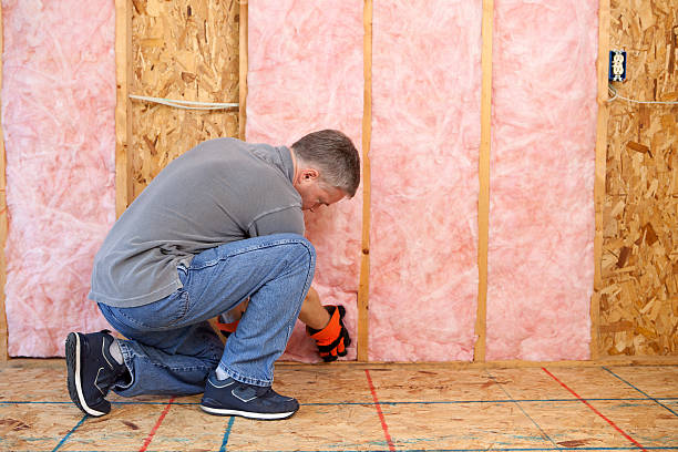 Trusted Mitchell, IL Insulation Contractor Experts